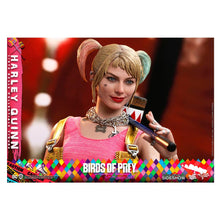 Load image into Gallery viewer, Birds of Prey Harley Quinn 1/6 Scale Figure